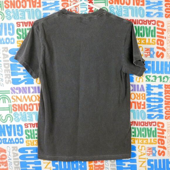 The Beach Boys Surfin Safari Graphic T Shirt Size S Gray Comfort Colors - Picture 2 of 4